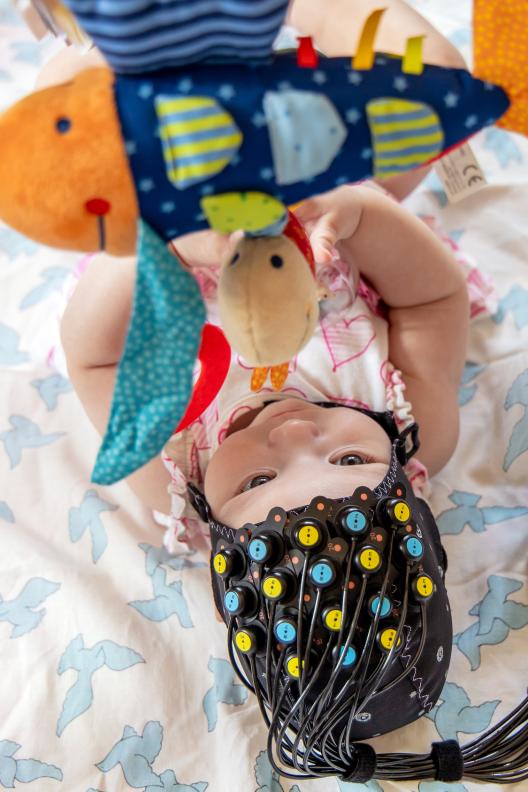 fNIRS mini devices studies on sensitive subjects, such as babies. it measures local oxy-, deoxy- and total hemoglobin concentration changes and tissue saturation index (TSI)